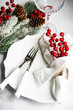 © Cavan Images - Christmas dinner table setting with red berries