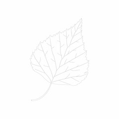Wall Mural - Vector sketch of birch leaf isolated on white background.