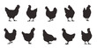 © jan stopka - various  chicken silhouettes on the white background
