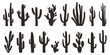 various cactus silhouettes on the white background