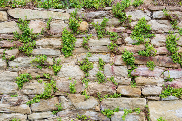 The rough textured surface of the wild stone wall. Background.