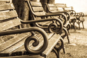 Canvas Print - bench at a park