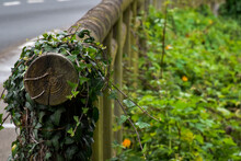 The Railing Of A Sidewalk Bordering A Village Road, With Green Plants And Vines.