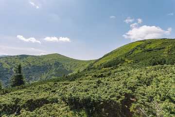 Wall Mural - mountain landscapes and beautiful green mountains.