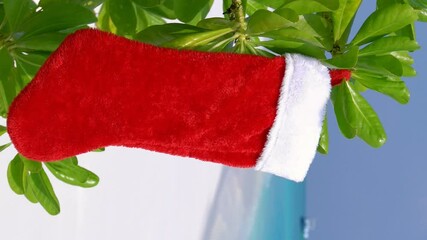 Wall Mural - Christmas stocking hanging on plant with green leaves at the seashore on island. New Year holidays. Vertical format video