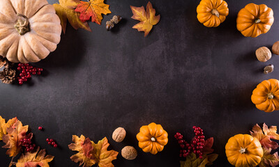 Wall Mural - autumn composition. pumpkin, cotton flowers and autumn leaves on dark stone background. flat lay, to