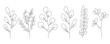 © Наталья Дьячкова - Set of Botanical Line Art Of Flowers, Leaves, Plants. Floral Hand Drawn Sketch Outline Drawing Leaves and Flowers Isolated on White Background. Vector EPS 10