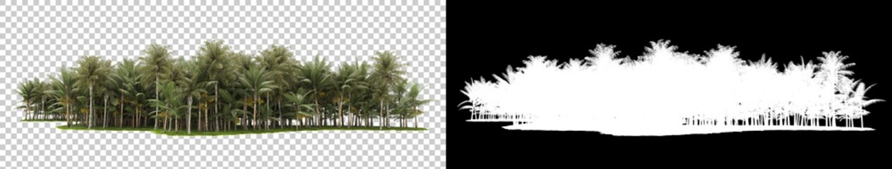 Tropical jungle isolated on background with mask. 3d rendering - illustration