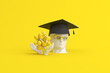 3d rendering of graduation cap on happy human sculpture and group of light bulbs.