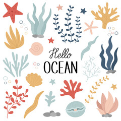 Underwater world. A set of seaweed, corals, shells, a pearl, a starfish. Vector marine illustration