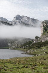 Wall Mural - picos de europa