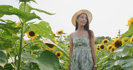 Poster - Woman enjoy visit sunflower farm