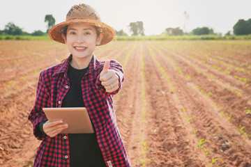 Wall Mural - Smart farming, using modern technologies in agriculture. Agronomist Using tablet and Technology in Agricultural Corn Field . Farmer walking in corn field with  tablet.