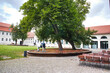 Platz mit Baum vor dem Reitstall, Schloss Köthen, Sachsen Anhalt, Johann Sebastian Bach Gedenkstätte