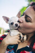 © Siniehina - The girl holds a mini chihuahua in her arms. Kissing your pet. The dog and the owner are dressed in the same color. Clothes for animals. Love and care for four-legged pets.