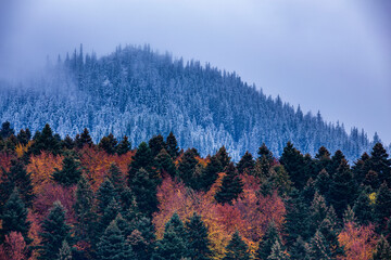 Wall Mural - Contrast of two seasons in one image: autumn and winter after sunset. 