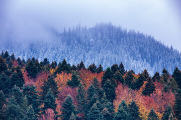 Wall Mural - Contrast of two seasons in one image: autumn and winter after sunset. 