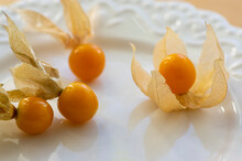 Physalis Peruviana Edible Tasty Physalis Orange Yellow Fruits In Dry Husks On Creased Paper On White Plate