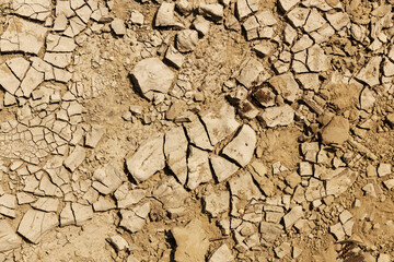 Aufkleber - dried earth in cracks. background symbolizing drought