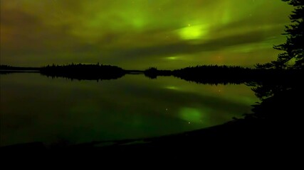 Wall Mural - aurora borealis flashing in bright green above a calm lake with reflections and silhouettes of trees