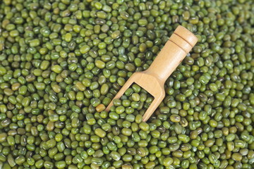 Wall Mural - Mung beans on wooden spoon with close up shot.