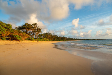 Wall Mural - Hawaiian beach at sunrise. No people, golden sand, trees on left of frame, blue sky with few white clouds.