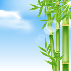 Realistic bamboo tree landscape scenery background with could, sky, sunrays, sunburst