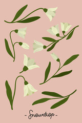 Wall Mural - Botanical white flower on a pink background