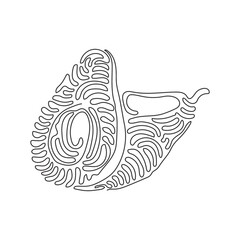 Poster - Continuous one line drawing whole avocado and half with seed. Healthy vegan vegetarian food. Tasty appetizer for dinner at home. Swirl curl style. Single line draw design vector graphic illustration