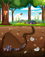 Wall Mural - Underground animal burrow with mole family