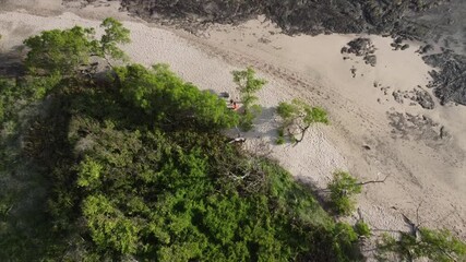 Sticker - An aerial view of people walking on the beach with soft sand and green trees