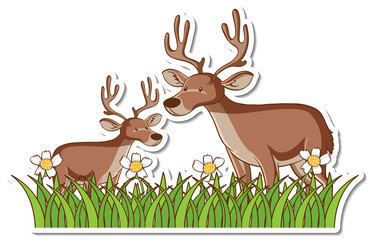 Wall Mural - Two deers standing in grass field sticker