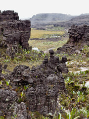 Wall Mural - A crystal field on top of Mount Roraima, Venezuela