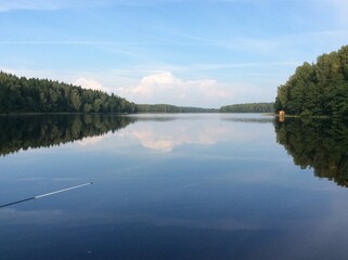 reflection of trees in lake