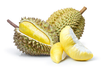 Wall Mural - durian isolated on white background