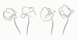 Abstract Line Poppy Flowers Prints Set Continuous Line Art.