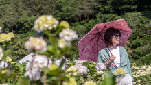 Woman Holding Umbrella While Standing By Plants During Rainy Season