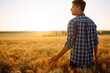 © maxbelchenko - Man walking during sunset and touching wheat ears in gold field. Growth nature harvest. Agriculture farm.