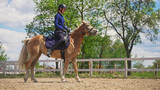Fototapeta Konie - a full-length female jockey sits on a light brown horse on a ranch. High-quality photo