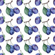Watercolor hand painted plum seamless pattern