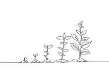 Continuous One Line Drawing Infographic Of Planting Tree. Seeds Sprout In Ground. Seedling Gardening Plant. Sprouts, Plants, Trees Growing Icons. Single Line Draw Design Vector Graphic Illustration