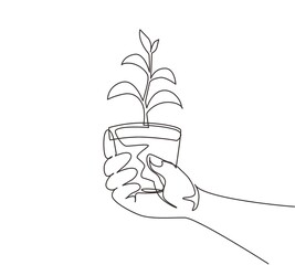 Poster - continuous one line drawing agronomist holding seedlings in peat pots. female hands touching the pla