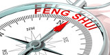 Metal compass with feng shui word