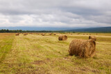 Fototapeta Niebo - Haystacks with straw summer in cloudy weather. View of agricultural field,rural landscape.