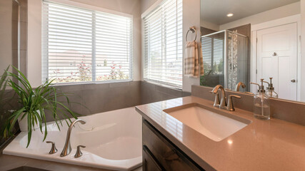 Wall Mural - Pano Bathroom with drop in tub and long vanity sink decorated with plants and candles on top