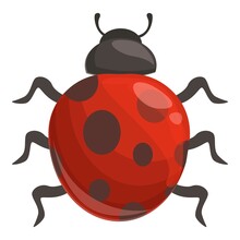 Season Ladybug Icon Cartoon Vector. Ladybird Bug. Beetle Insect