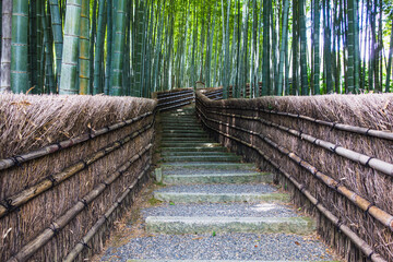  wooden bridge in bamboo forest