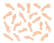 Simple Woman Hands in Various Positions