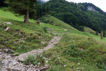 wooden cattle fence with stone footpath and people passage on a green meadow, cattle fences protect animals from being driven, mountain with forest in background without people