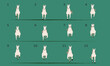 White horse running animation. Front view. Twelve key poses.